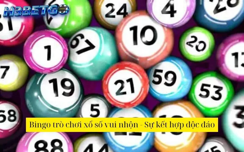 Bingo trò chơi xổ số vui nhộn - Sự kết hợp độc đáo