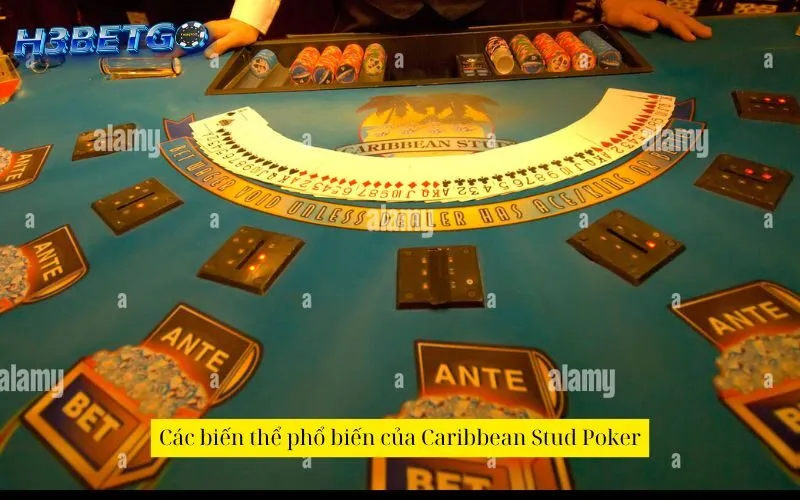 Các biến thể phổ biến của Caribbean Stud Poker