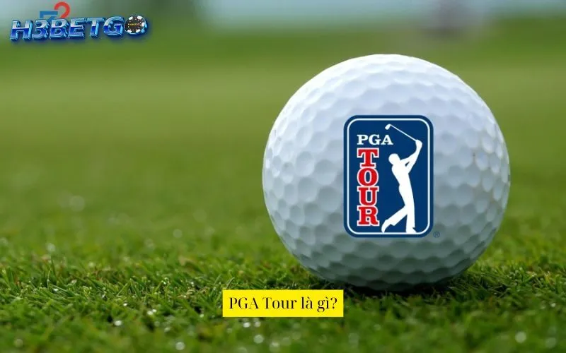 PGA Tour là gì?