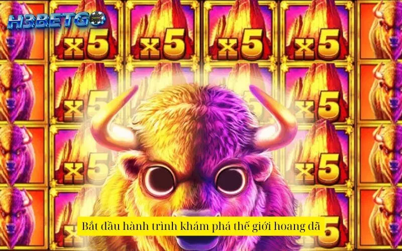 Bắt đầu hành trình khám phá thế giới hoang dã